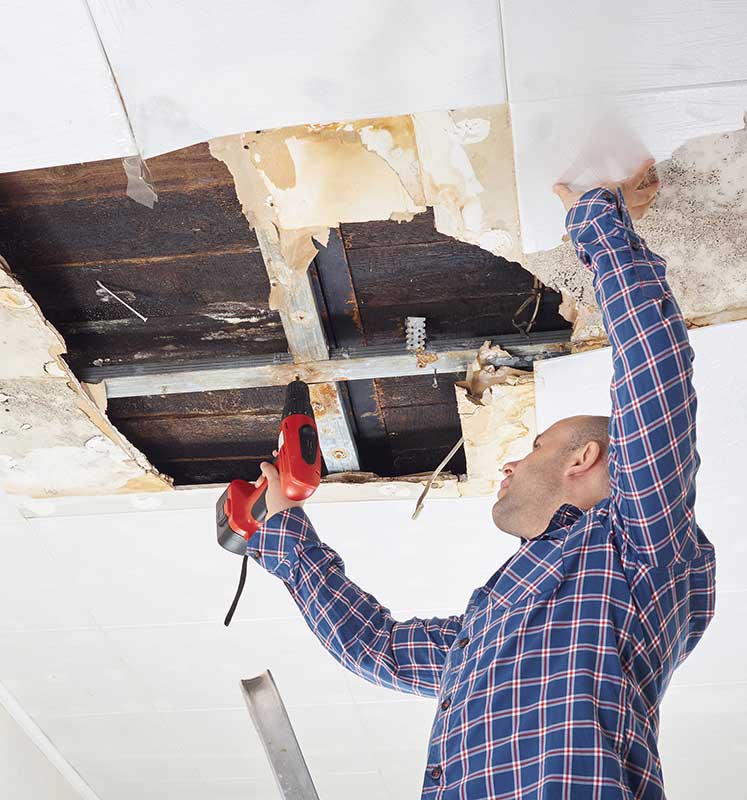 Water Damage Repair Mobile Alabama