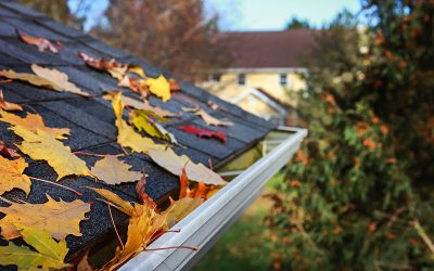 Spring Cleaning the Roof Checklist