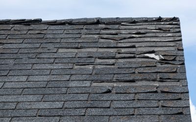Demystifying the Lifespan of Your Roof: What You Need to Know by Rellim Contracting