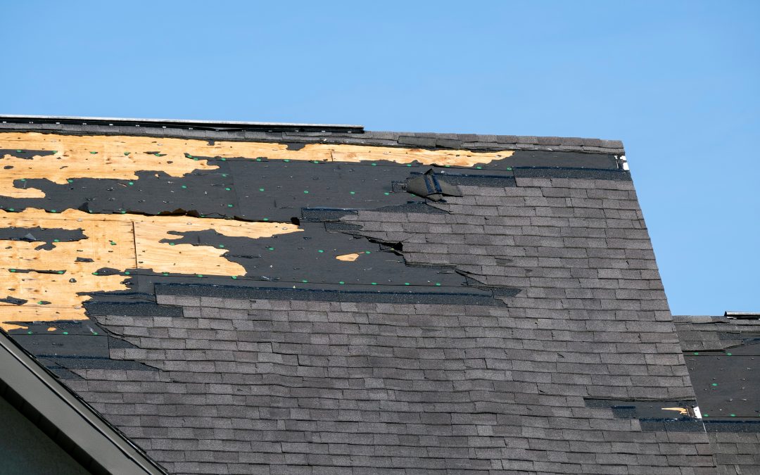 Top 5 Signs Your Roof Needs Repair in Mobile, Alabama